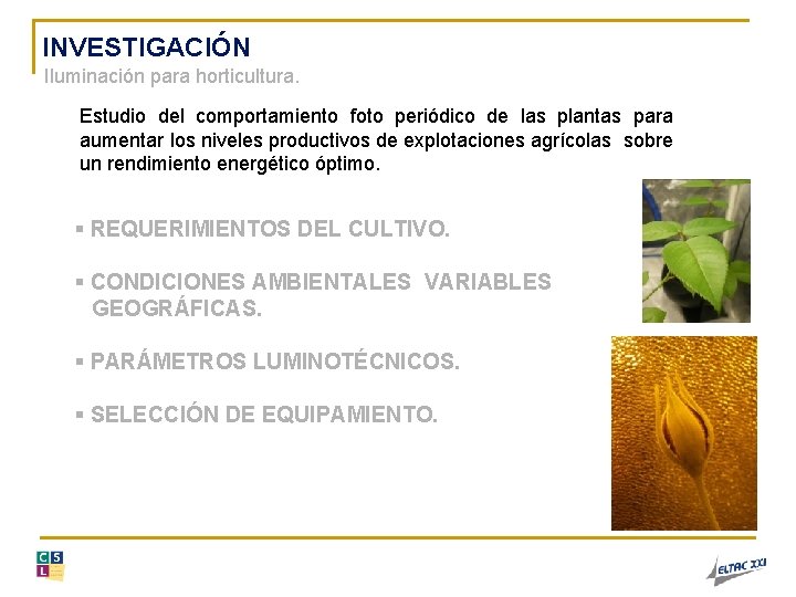 INVESTIGACIÓN Iluminación para horticultura. Estudio del comportamiento foto periódico de las plantas para aumentar