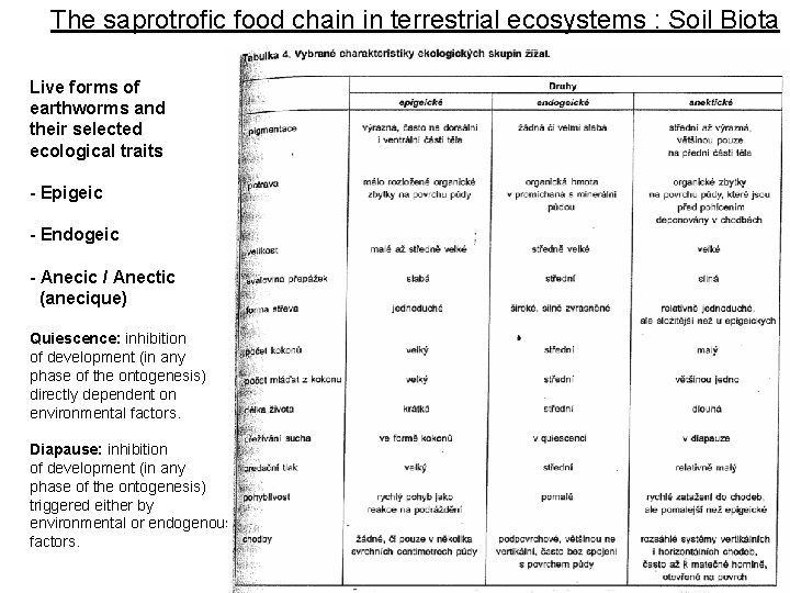 The saprotrofic food chain in terrestrial ecosystems : Soil Biota Live forms of earthworms