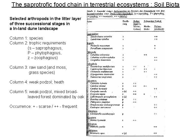 The saprotrofic food chain in terrestrial ecosystems : Soil Biota Selected arthropods in the The saprotrofic food chain in terrestrial ecosystems : Soil Biota Selected arthropods in the