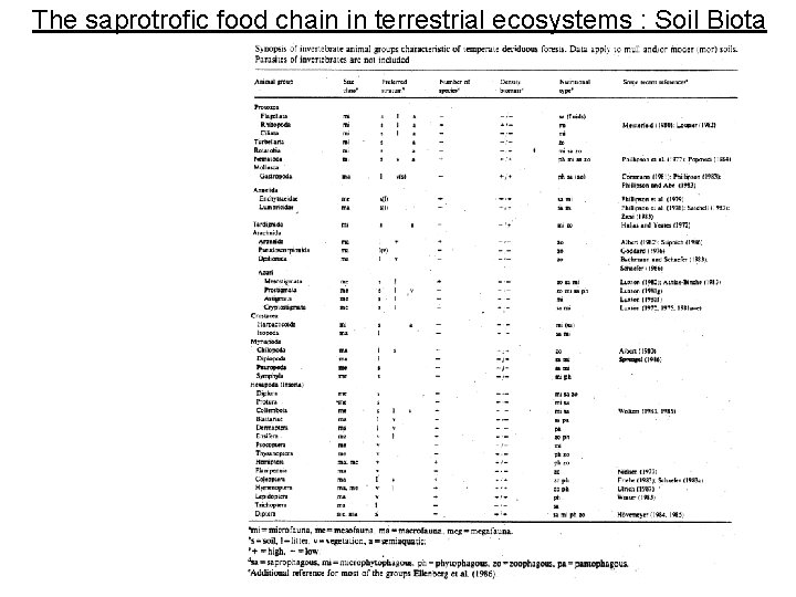 The saprotrofic food chain in terrestrial ecosystems : Soil Biota 