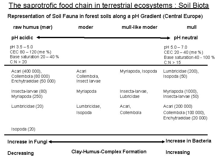 The saprotrofic food chain in terrestrial ecosystems : Soil Biota Representation of Soil Fauna The saprotrofic food chain in terrestrial ecosystems : Soil Biota Representation of Soil Fauna