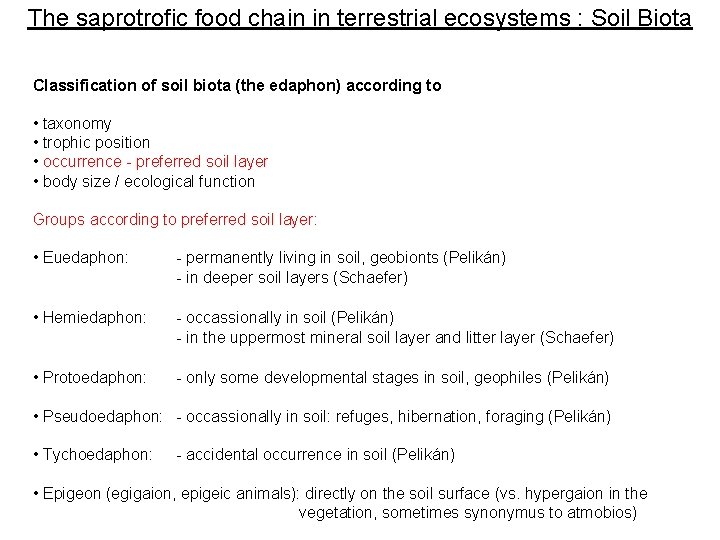 The saprotrofic food chain in terrestrial ecosystems : Soil Biota Classification of soil biota