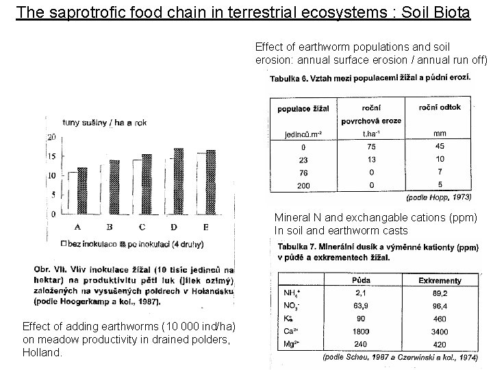 The saprotrofic food chain in terrestrial ecosystems : Soil Biota Effect of earthworm populations