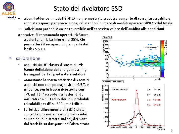 Stato del rivelatore SSD Trieste – alcuni ladder con moduli SINTEF hanno mostrato graduale Stato del rivelatore SSD Trieste – alcuni ladder con moduli SINTEF hanno mostrato graduale