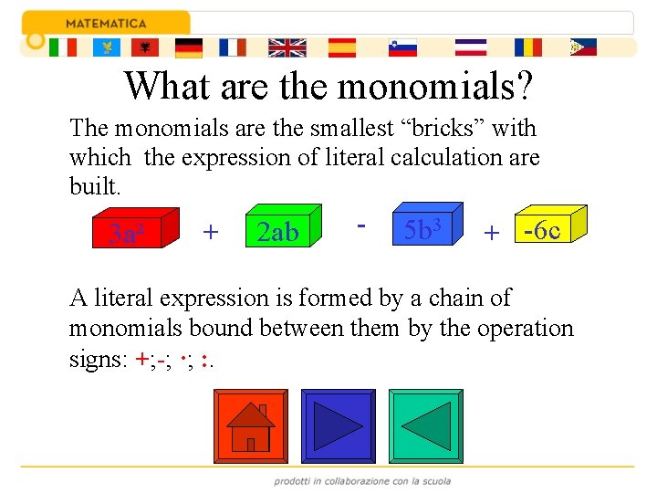 What are the monomials? The monomials are the smallest “bricks” with which the expression