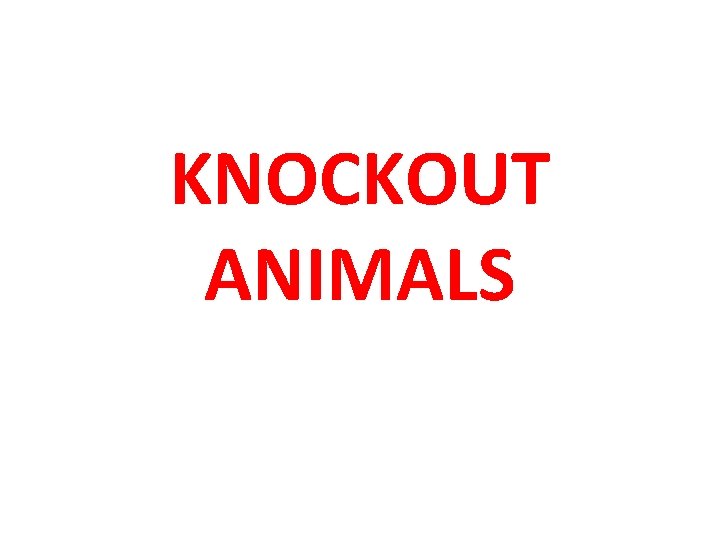KNOCKOUT ANIMALS 