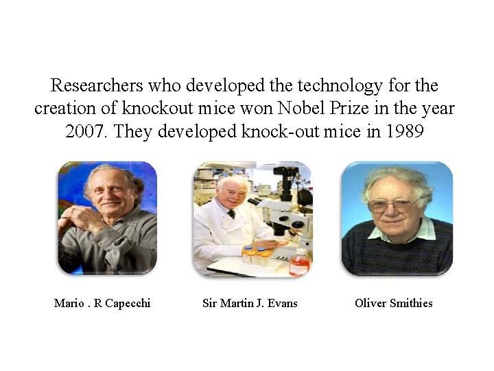 Researchers who developed the technology for the creation of knockout mice won Nobel Prize