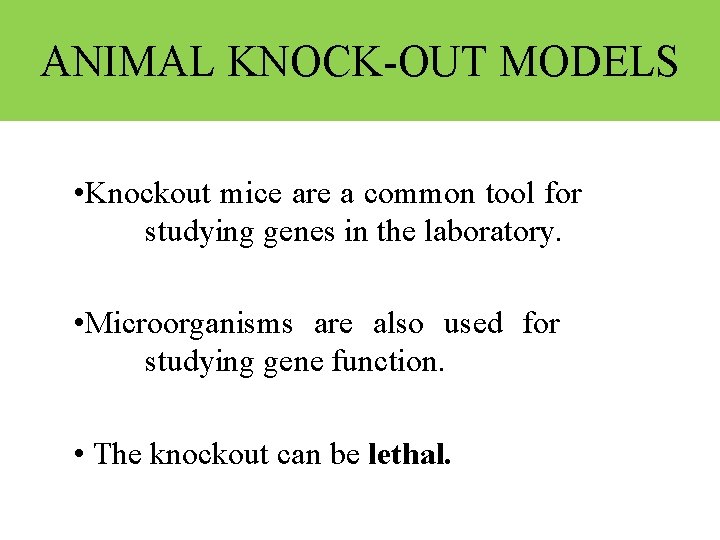 ANIMAL KNOCK-OUT MODELS • Knockout mice are a common tool for studying genes in