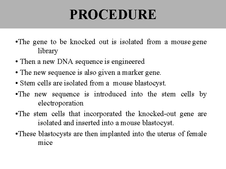 PROCEDURE • The gene to be knocked out is isolated from a mouse gene