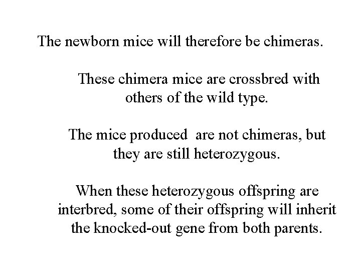 The newborn mice will therefore be chimeras. These chimera mice are crossbred with others