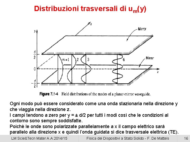 Distribuzioni trasversali di um(y) Ogni modo può essere considerato come una onda stazionaria nella