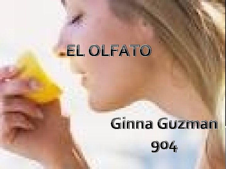 EL OLFATO olafato Ginna Guzman 904 