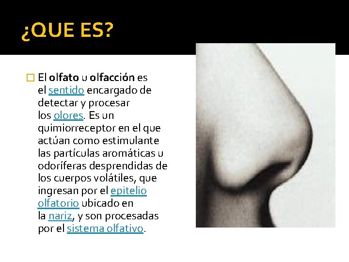 ¿QUE ES? � El olfato u olfacción es el sentido encargado de detectar y