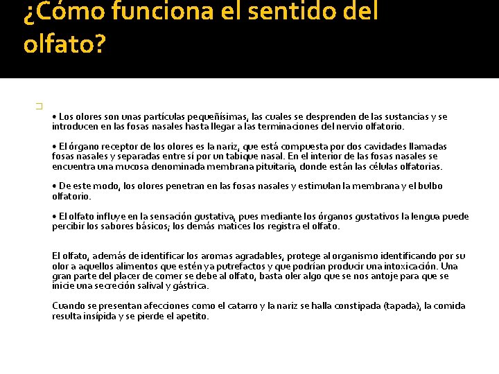 ¿Cómo funciona el sentido del olfato? � • Los olores son unas partículas pequeñísimas,