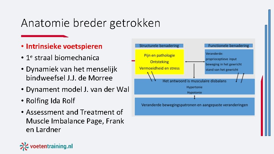 Anatomie breder getrokken • Intrinsieke voetspieren • 1 e straal biomechanica • Dynamiek van Anatomie breder getrokken • Intrinsieke voetspieren • 1 e straal biomechanica • Dynamiek van