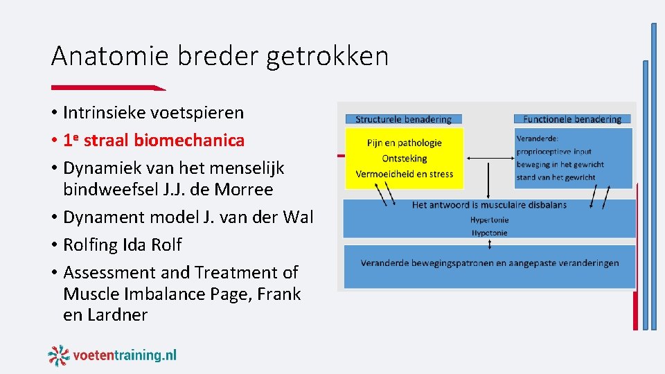 Anatomie breder getrokken • Intrinsieke voetspieren • 1 e straal biomechanica • Dynamiek van Anatomie breder getrokken • Intrinsieke voetspieren • 1 e straal biomechanica • Dynamiek van