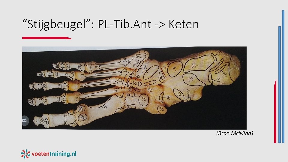 “Stijgbeugel”: PL-Tib. Ant -> Keten (Bron Mc. Minn) “Stijgbeugel”: PL-Tib. Ant -> Keten (Bron Mc. Minn)