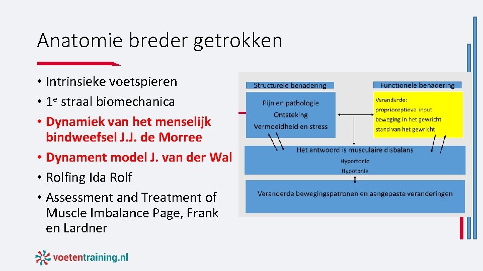 Anatomie breder getrokken • Intrinsieke voetspieren • 1 e straal biomechanica • Dynamiek van Anatomie breder getrokken • Intrinsieke voetspieren • 1 e straal biomechanica • Dynamiek van