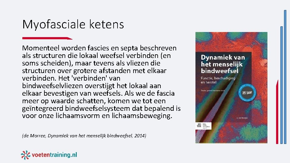 Myofasciale ketens Momenteel worden fascies en septa beschreven als structuren die lokaal weefsel verbinden Myofasciale ketens Momenteel worden fascies en septa beschreven als structuren die lokaal weefsel verbinden