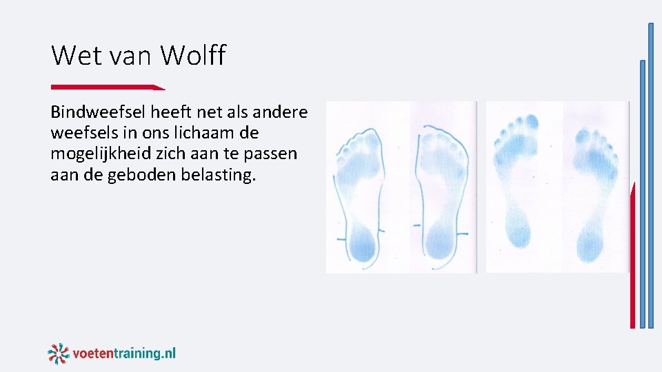Wet van Wolff Bindweefsel heeft net als andere weefsels in ons lichaam de mogelijkheid Wet van Wolff Bindweefsel heeft net als andere weefsels in ons lichaam de mogelijkheid