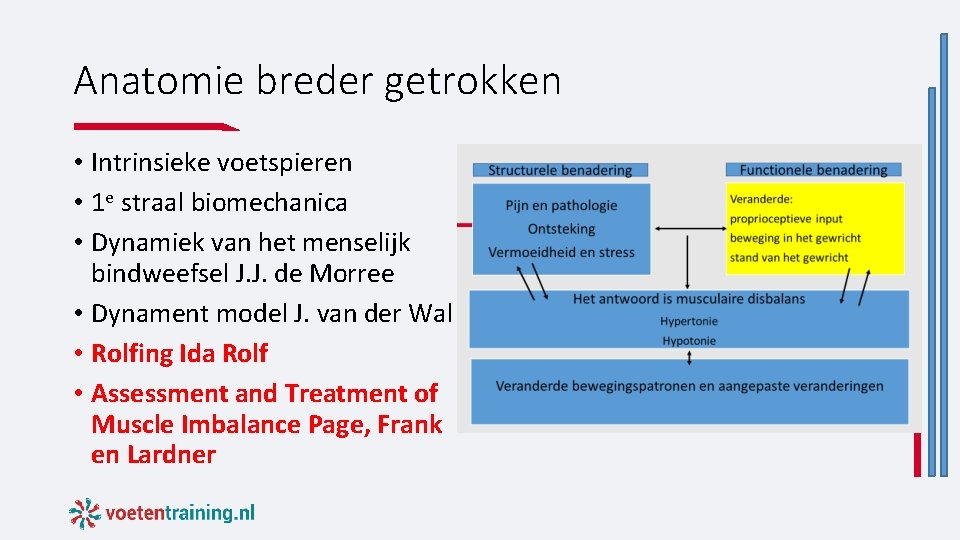 Anatomie breder getrokken • Intrinsieke voetspieren • 1 e straal biomechanica • Dynamiek van Anatomie breder getrokken • Intrinsieke voetspieren • 1 e straal biomechanica • Dynamiek van