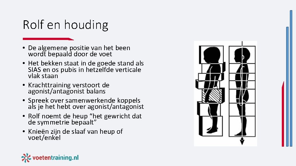 Rolf en houding • De algemene positie van het been wordt bepaald door de Rolf en houding • De algemene positie van het been wordt bepaald door de