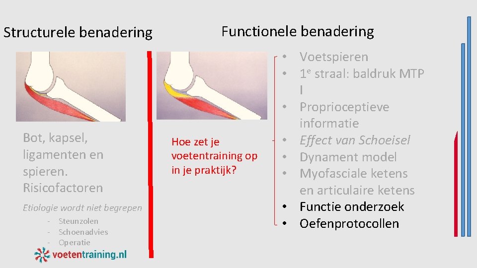Structurele benadering Bot, kapsel, ligamenten en spieren. Risicofactoren Etiologie wordt niet begrepen - Steunzolen Structurele benadering Bot, kapsel, ligamenten en spieren. Risicofactoren Etiologie wordt niet begrepen - Steunzolen