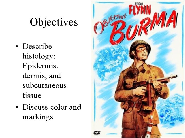 Objectives • Describe histology: Epidermis, and subcutaneous tissue • Discuss color and markings 