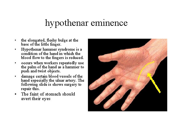 hypothenar eminence • • the elongated, fleshy bulge at the base of the little