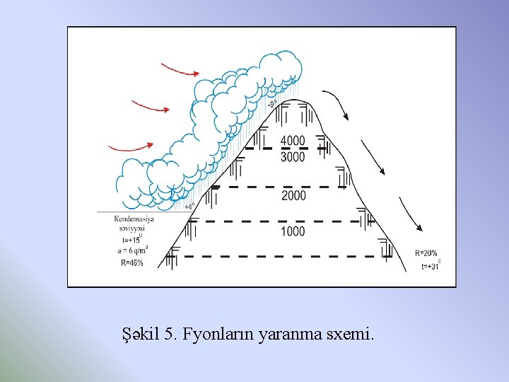 Şəkil 5. Fyonların yaranma sxemi. 