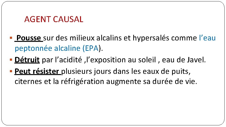 AGENT CAUSAL § Pousse sur des milieux alcalins et hypersalés comme l’eau peptonnée alcaline