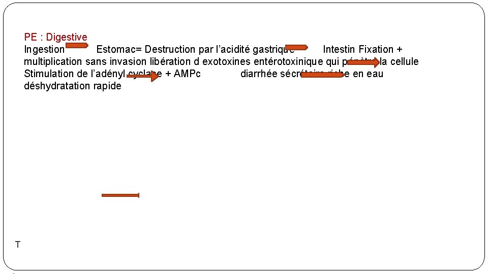 PE : Digestive Ingestion Estomac= Destruction par l’acidité gastrique Intestin Fixation + multiplication sans