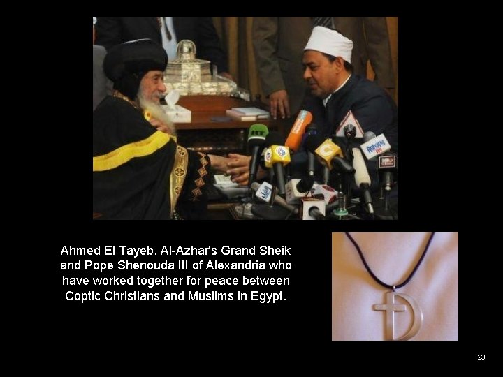 Ahmed El Tayeb, Al-Azhar's Grand Sheik and Pope Shenouda III of Alexandria who have