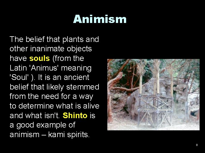 Animism The belief that plants and other inanimate objects have souls (from the Latin