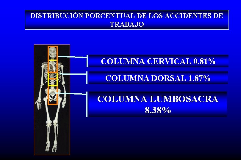 DISTRIBUCIÓN PORCENTUAL DE LOS ACCIDENTES DE TRABAJO COLUMNA CERVICAL 0. 81% COLUMNA DORSAL 1.