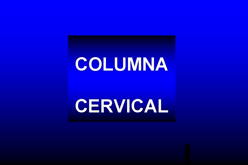 COLUMNA CERVICAL 