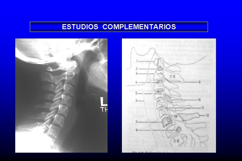 ESTUDIOS COMPLEMENTARIOS 