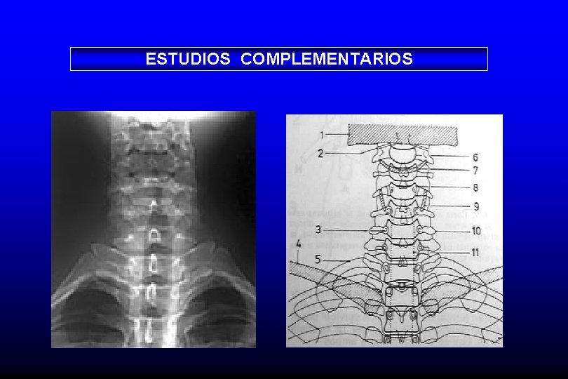 ESTUDIOS COMPLEMENTARIOS 