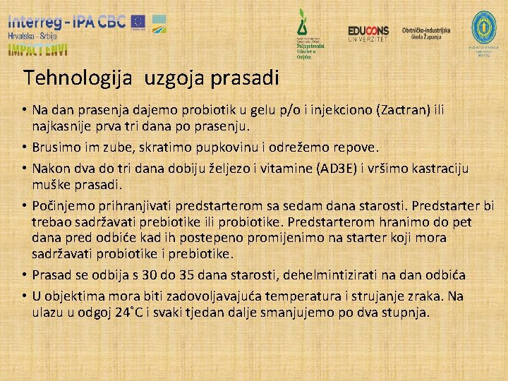 Tehnologija uzgoja prasadi • Na dan prasenja dajemo probiotik u gelu p/o i injekciono