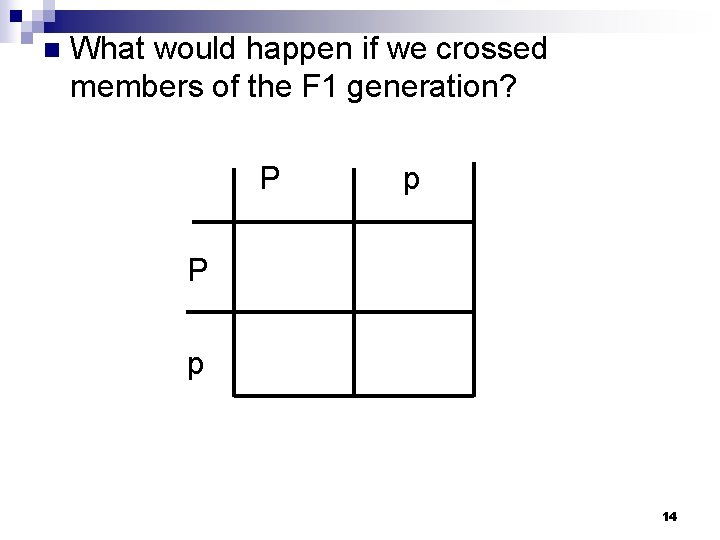 n What would happen if we crossed members of the F 1 generation? P