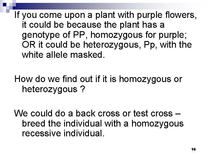 If you come upon a plant with purple flowers, it could be because the