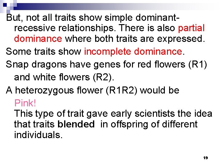 But, not all traits show simple dominantrecessive relationships. There is also partial dominance where