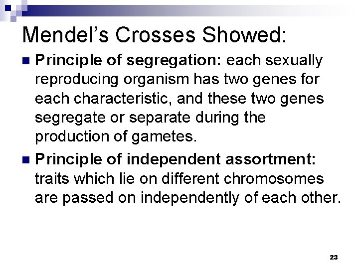 Mendel’s Crosses Showed: Principle of segregation: each sexually reproducing organism has two genes for