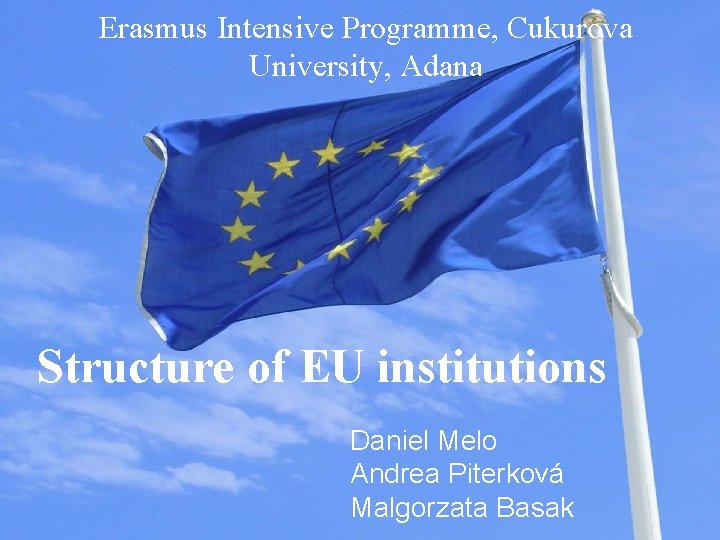 Erasmus Intensive Programme, Cukurova University, Adana Structure of EU institutions Daniel Melo Andrea Piterková