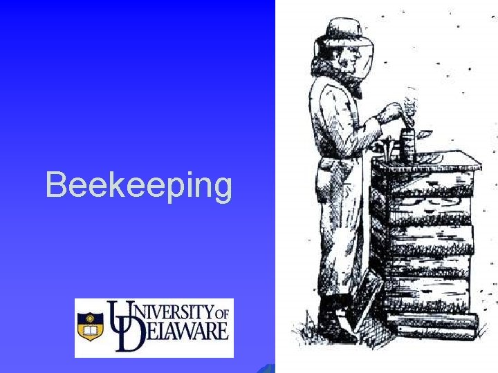 Beekeeping 