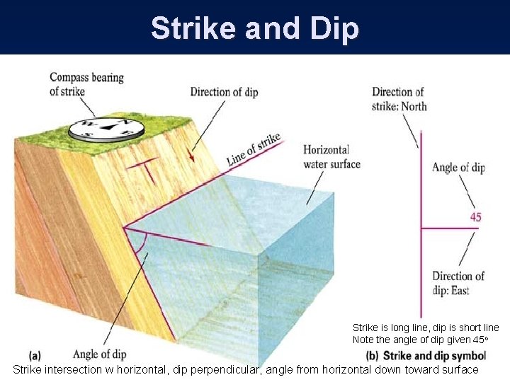 Strike and Dip Strike is long line, dip is short line Note the angle