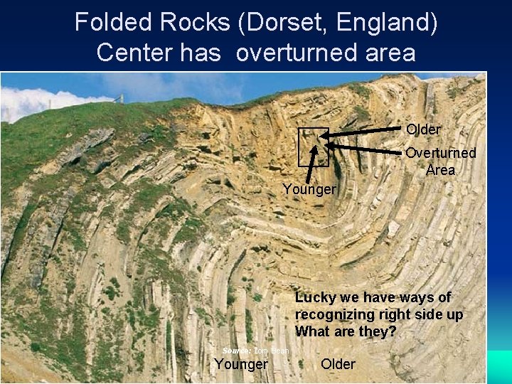 Folded Rocks (Dorset, England) Center has overturned area Older Overturned Area Younger Lucky we