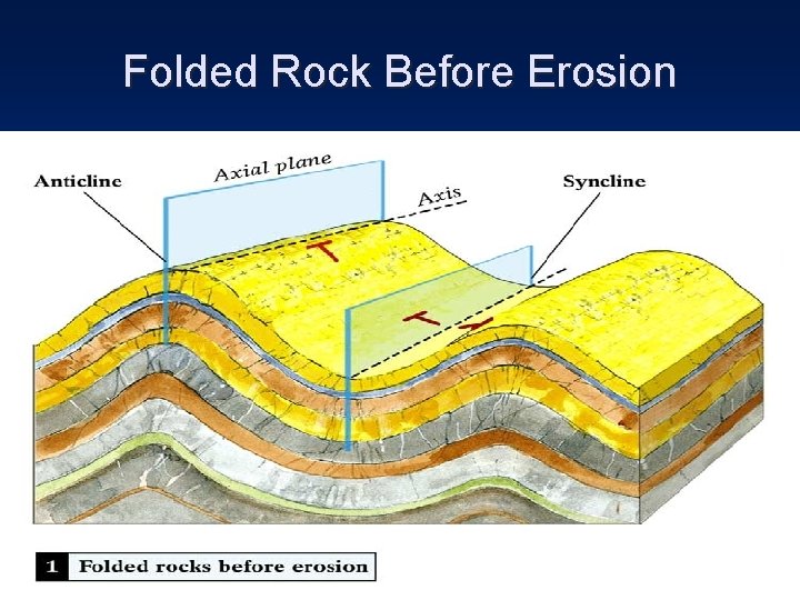 Folded Rock Before Erosion 