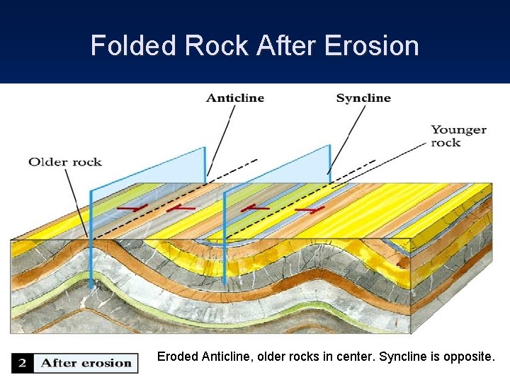 Folded Rock After Erosion Eroded Anticline, older rocks in center. Syncline is opposite. 