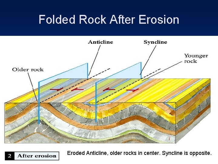 Folded Rock After Erosion Eroded Anticline, older rocks in center. Syncline is opposite. Folded Rock After Erosion Eroded Anticline, older rocks in center. Syncline is opposite.